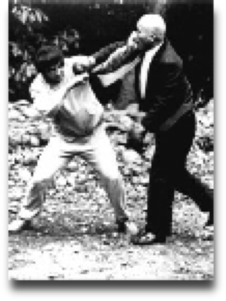 Sawai sensei teaching Kumite during the Sunday morning training in Meiji Jingu.