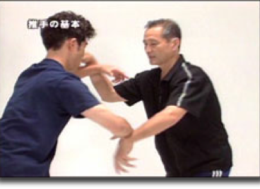 Satoshi Amano recently published an extended series of Taikikenpu instruction dvd’s. 