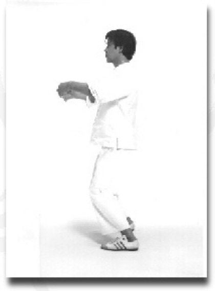 Akio Sawai ritsuzen (standing Zen) side posture.