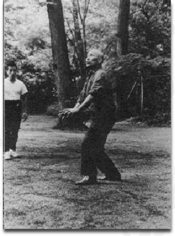Kenichi Sawai sensei showing Taikiken Hakkei.