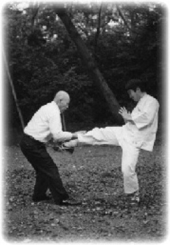 Taikiken a Martial art with feeling