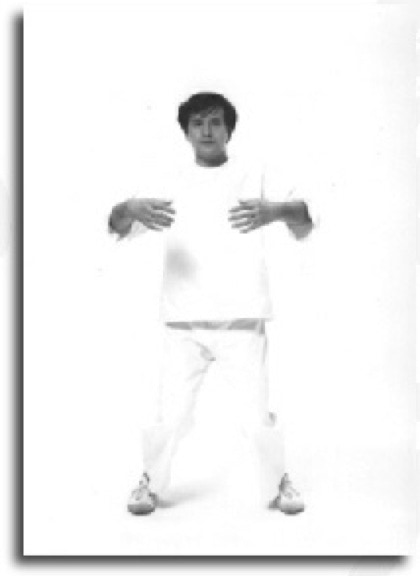 Akio Sawai ritsuzen front posture.
