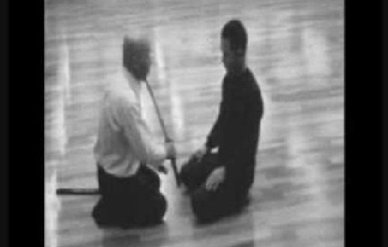 Video clip showing Kenichi Sawai practicing Iaido.