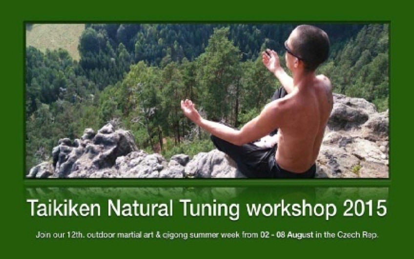 International Taikiken Natural Tuning workshops in slideshow.