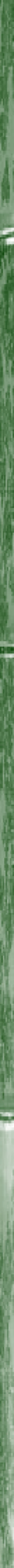Taikiken green bamboo side stripe