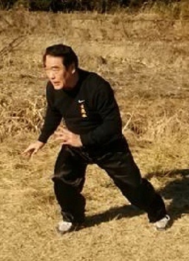Iwama Norimasa showing his special style of Tanshu.