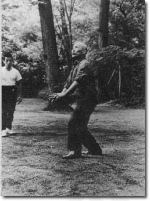 Taikiken master Kenichi Sawai, showing Hake in Meiji Jingu, Tokyo.