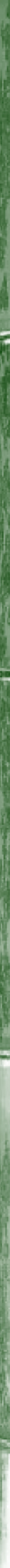 Taikiken green bamboo side stripe