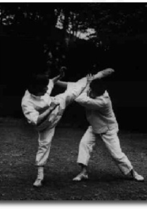 Masashi Saito defence against Mawashi geri practice with Akio Sawai.