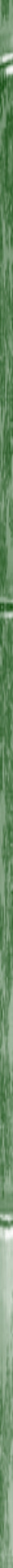 Side bar green bamboo