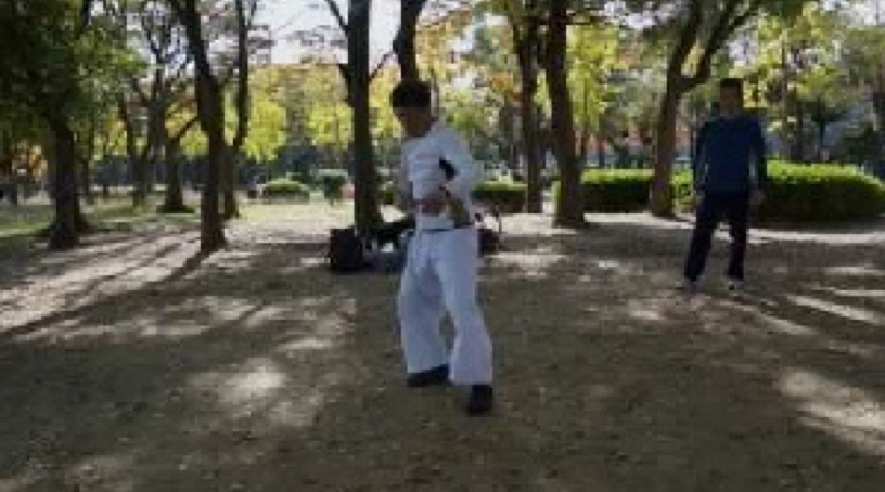 Yasuhide Takagi demonstrating Taikiken Tanshu (shadow boxing.)