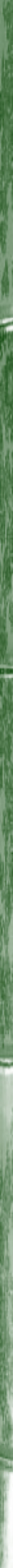 Taikiken green bamboo side strip