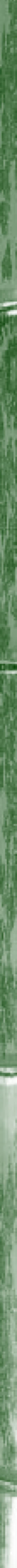 Taikiken side strip green bamboo