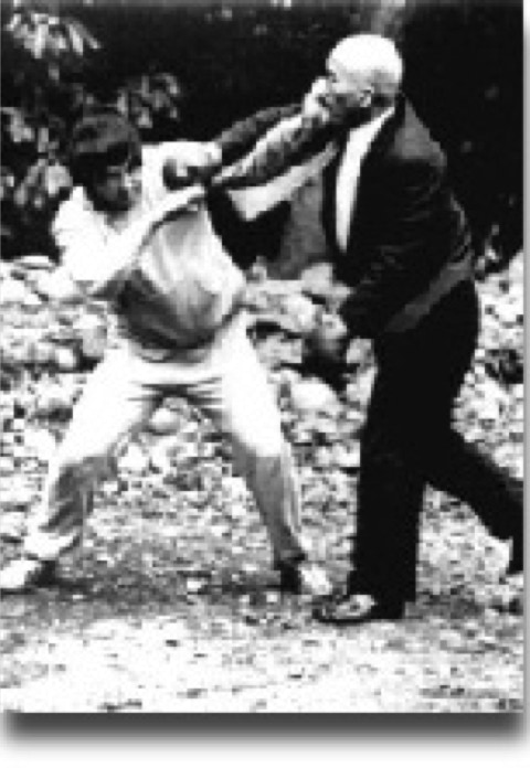 Taikiken Kenichi Sawai sparring with gloves in Meiji Jingu, Tokyo