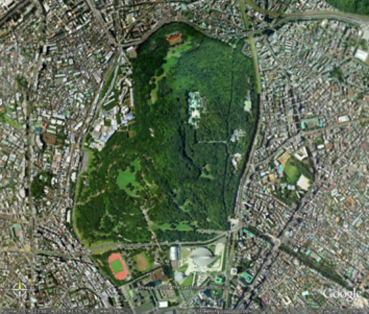 Meiji Jingu, Tokyo, Japan aereal photo zoom.