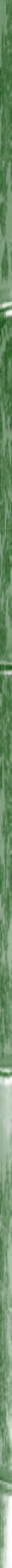 Taikiken green bamboo side stripe