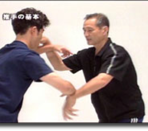 Satoshi Amano recently published an extended series of Taikikenpu instruction dvd’s. 