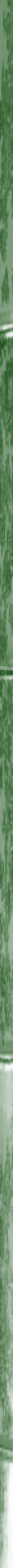 Side bar green bamboo